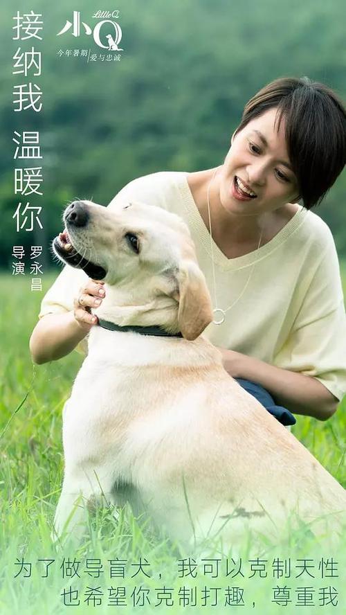 买个假的光大银行网银截图图片